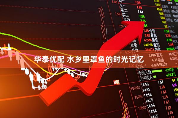 华泰优配 水乡里罩鱼的时光记忆